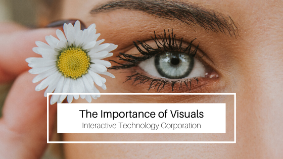 The Importance of Visuals